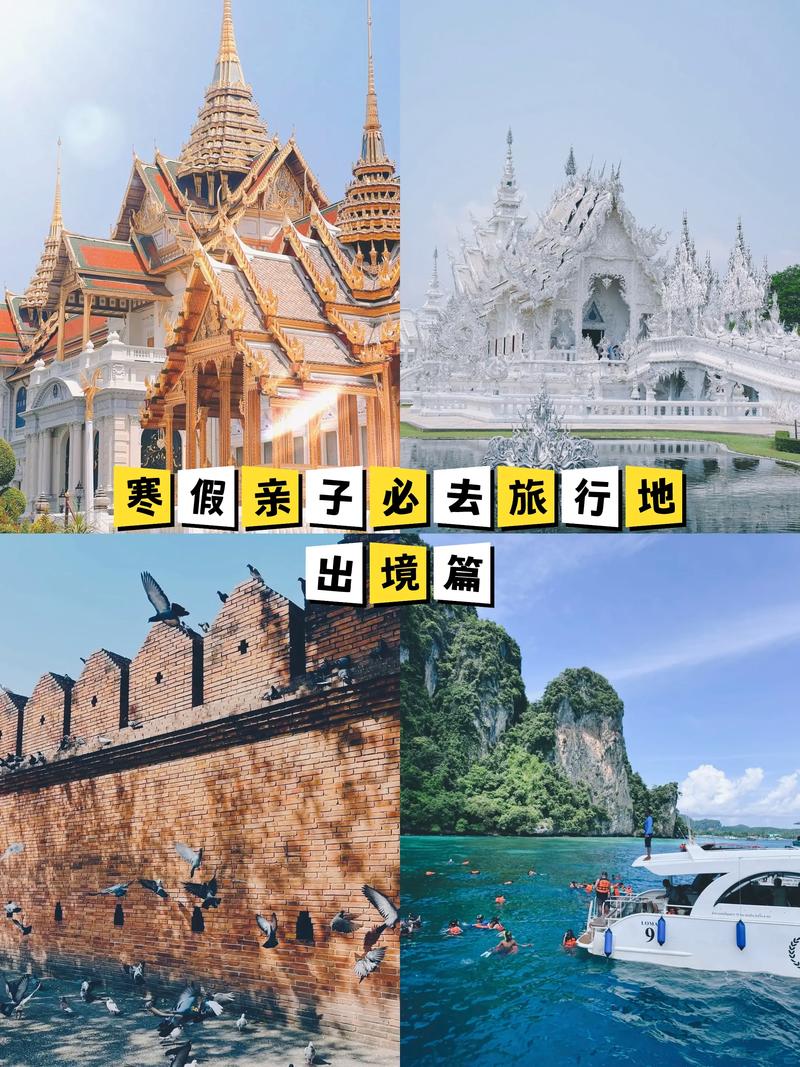 如何高效选择旅游公司